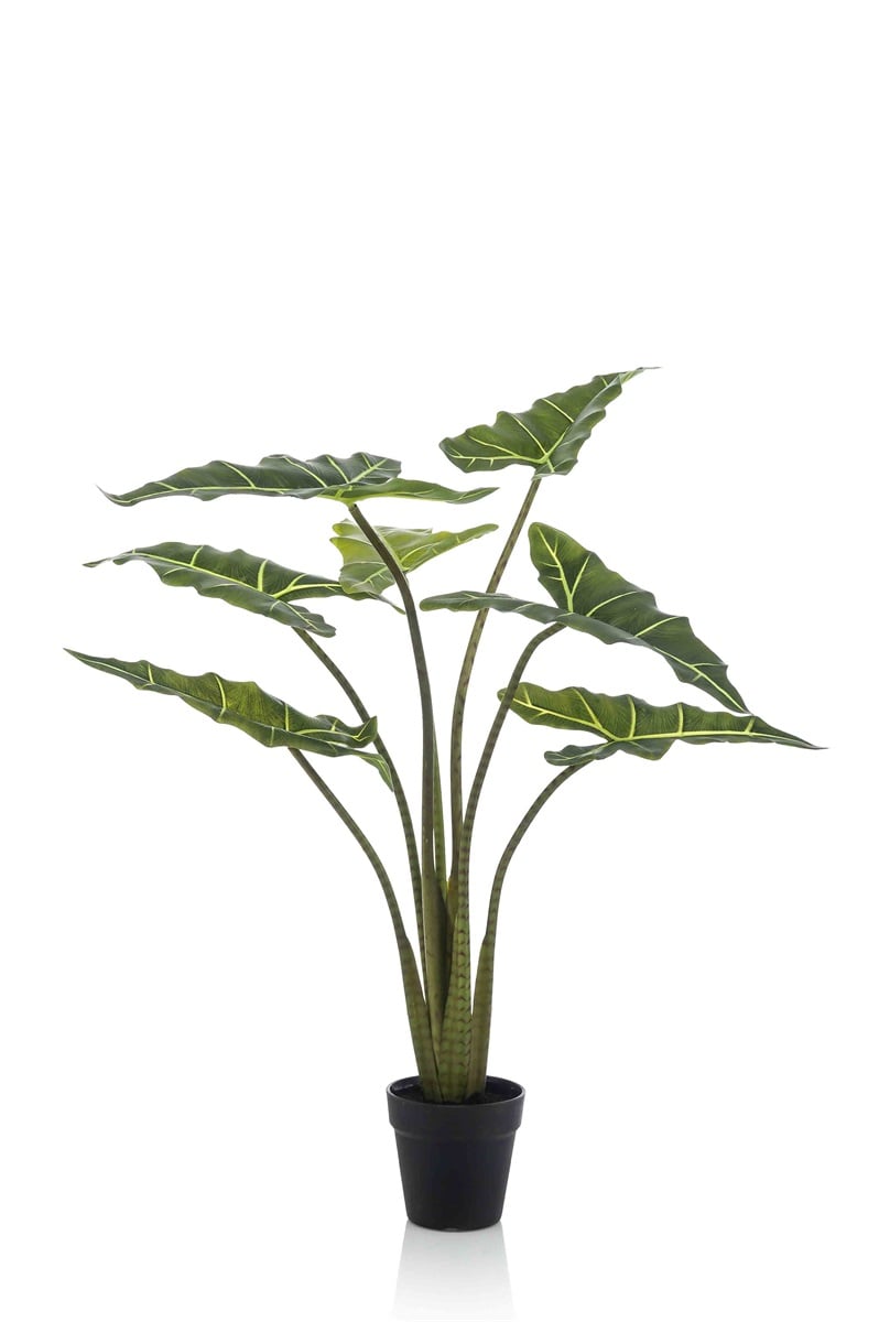Textil Alocasia grün (verschiedene Größen)