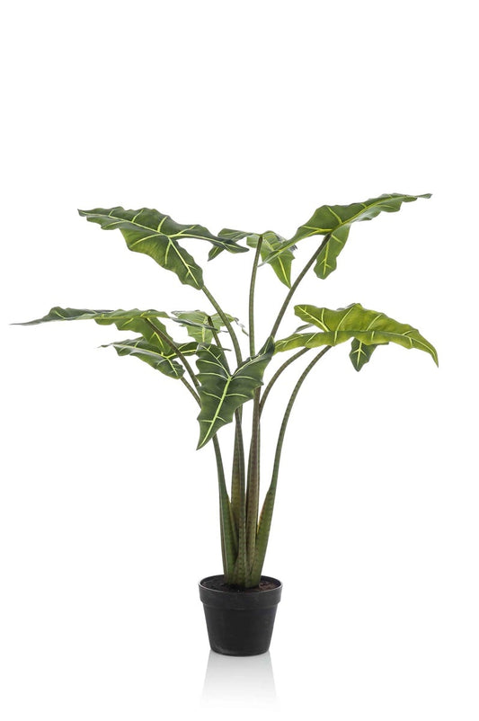 Textil Alocasia grün (verschiedene Größen)