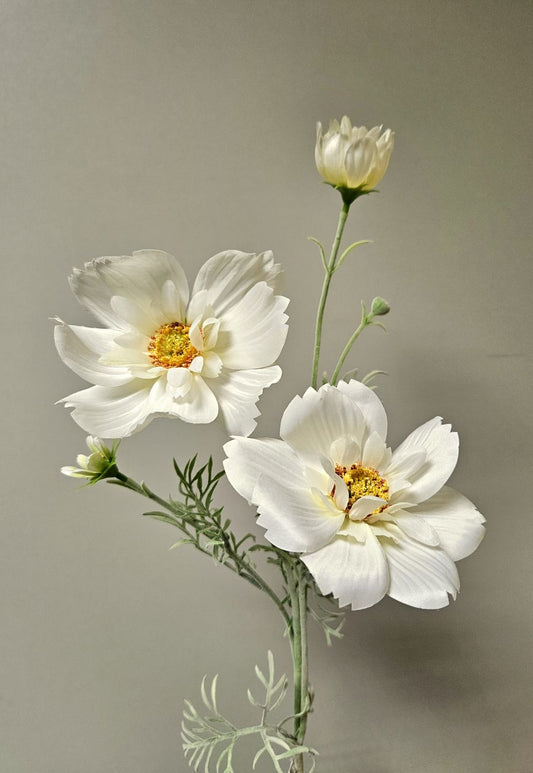 Textil Cosmea, verschiedene Farben