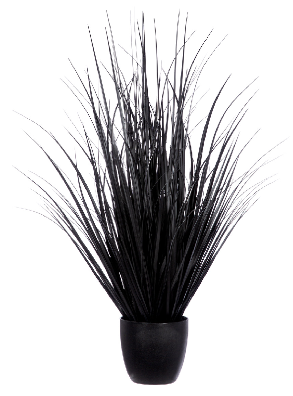Textil Gras schwarz (verschiedene Größen)