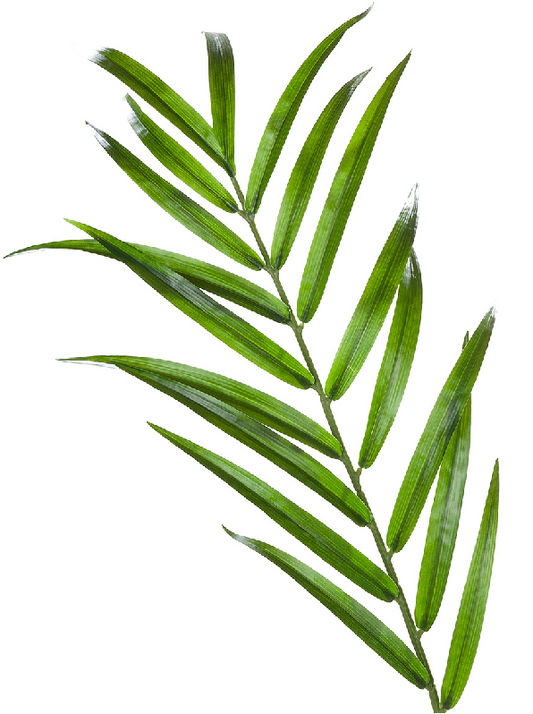 Textil Palme "Hawaii", grün