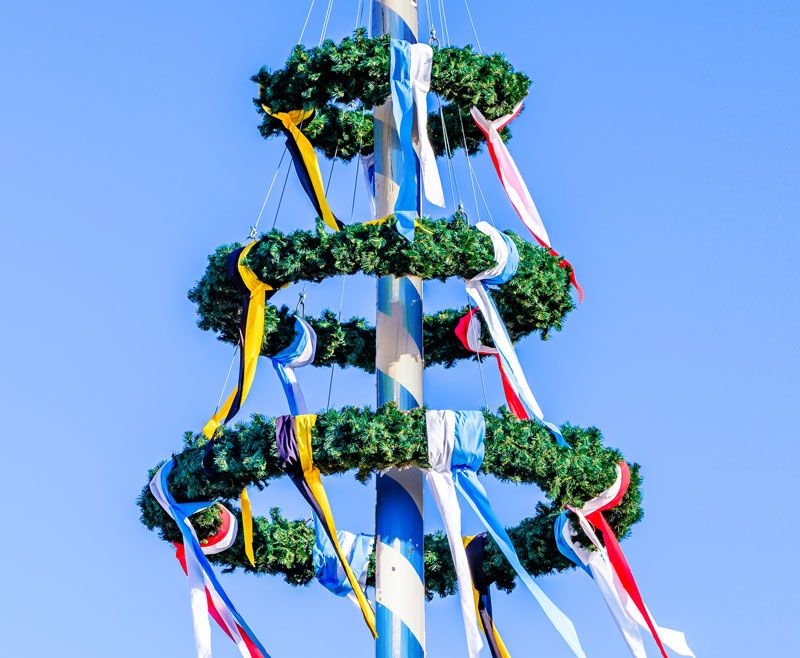 Maibaum komplett (mehrere Größen, ohne Stamm)