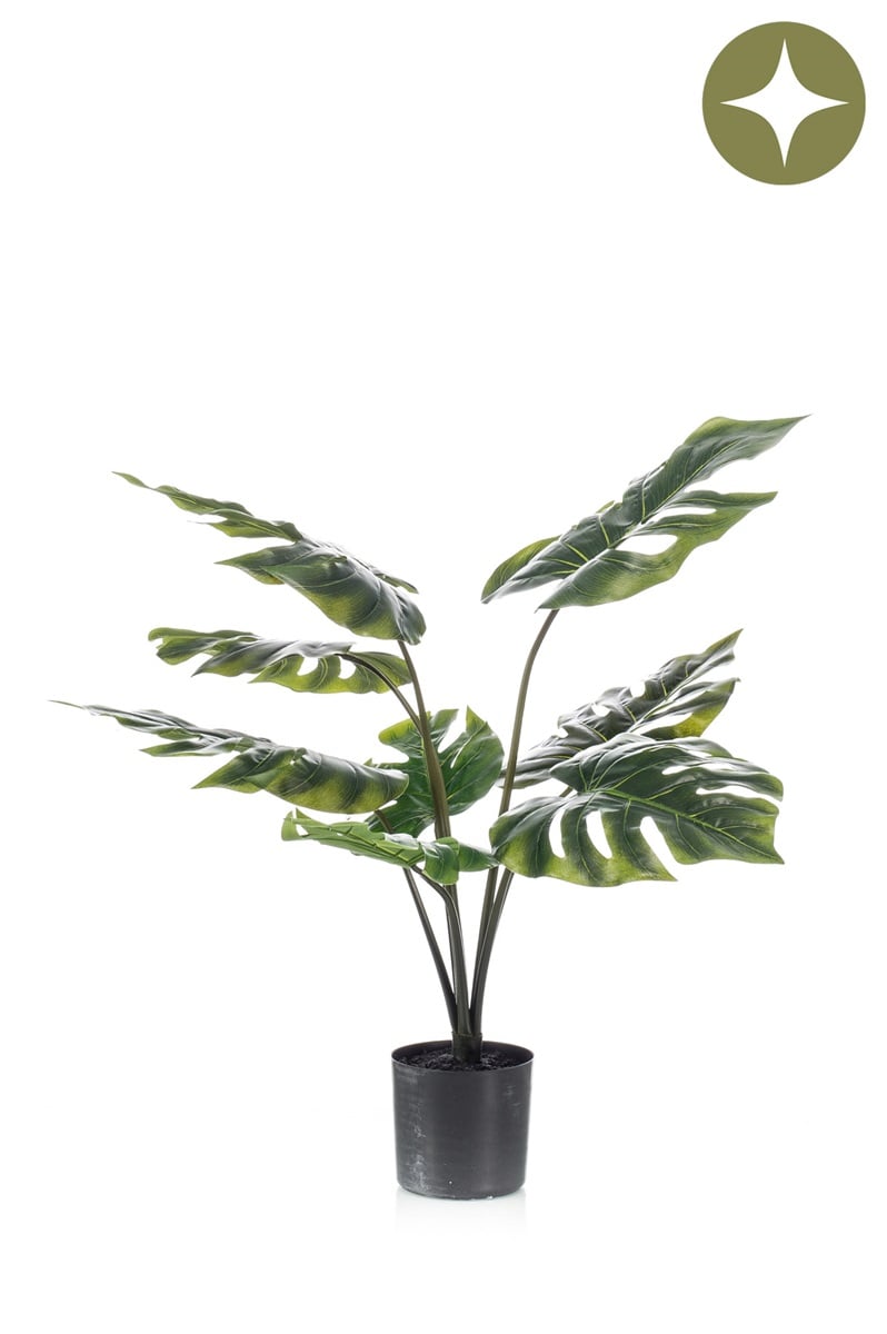 Textil Monstera grün