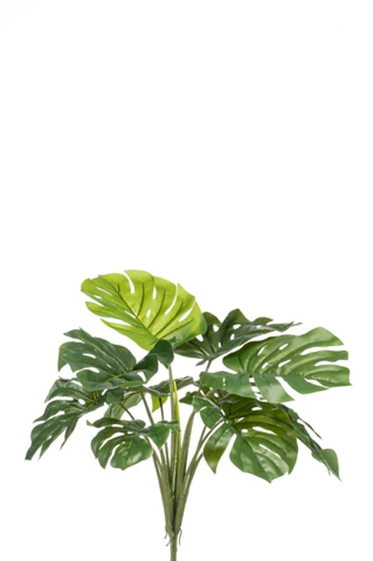 Textil Monstera Busch