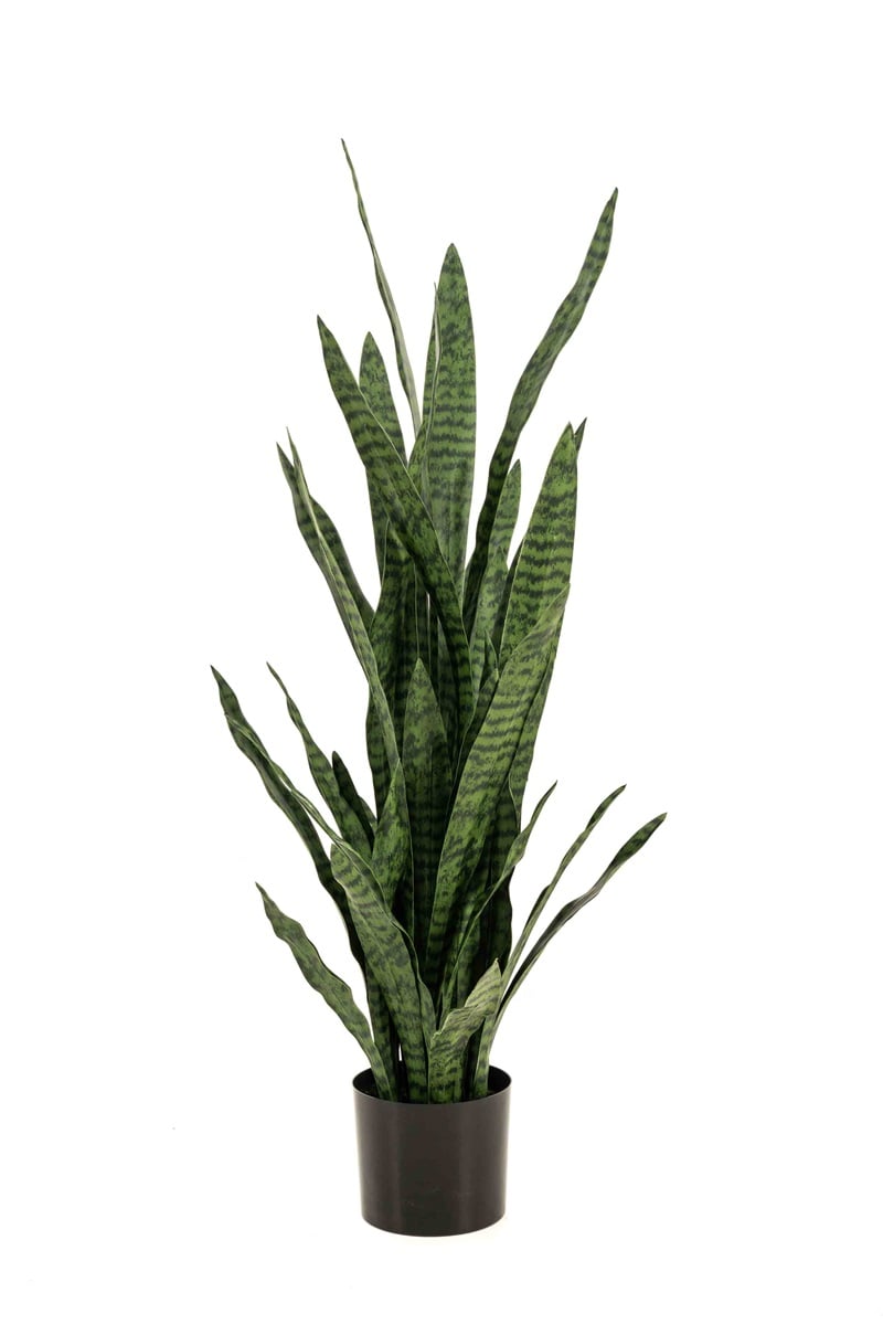 Textil Sansevieria (70 / 97 / 115 / 140 cm)