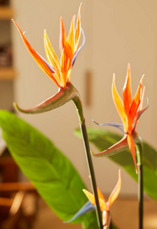 Textil Strelizien Baum mit 3 Blüten