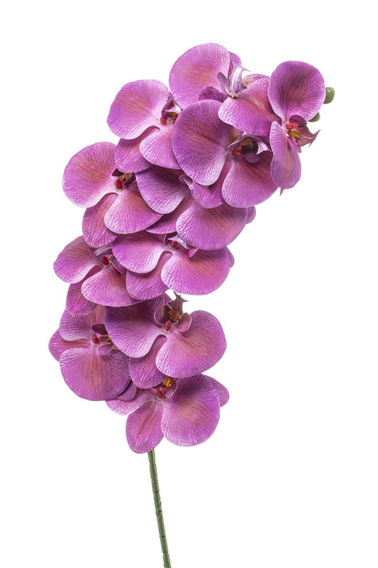 Textil Orchidee "Phalaenopsis" mit 11 Blüten (weiß, beauty)