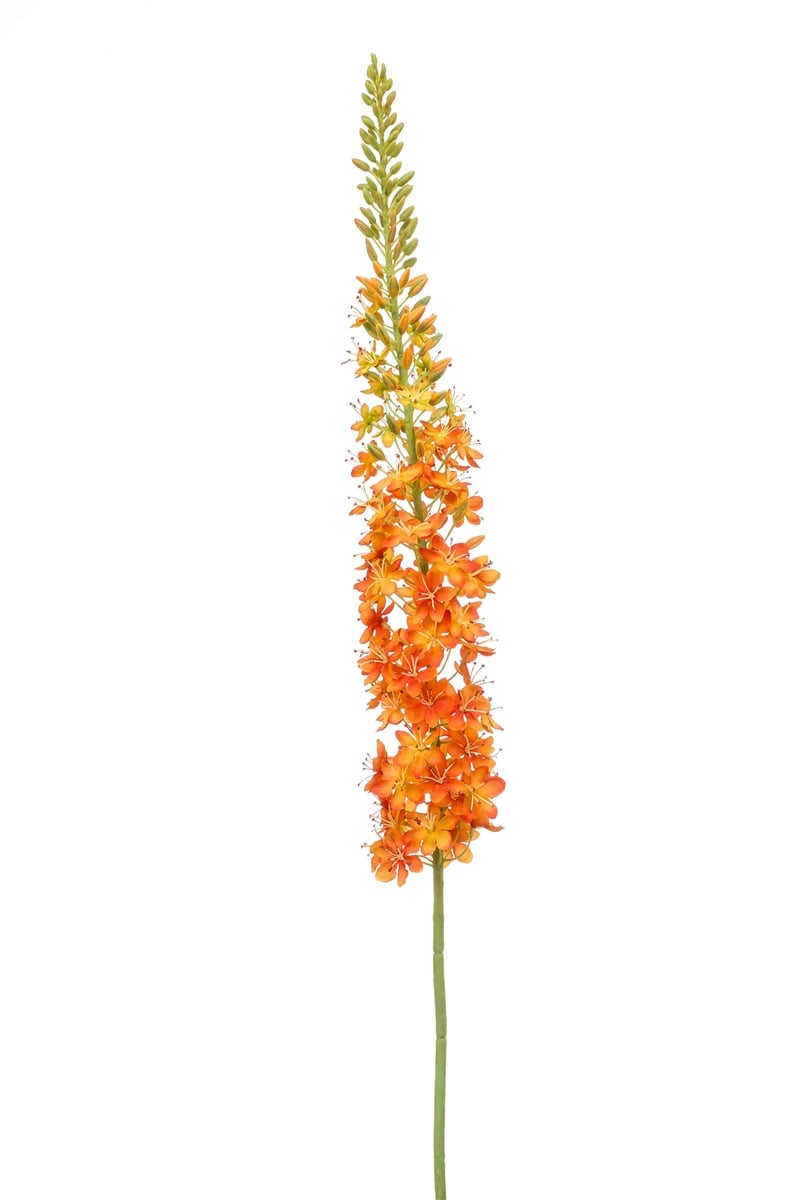 Textil Eremurus (108 cm)