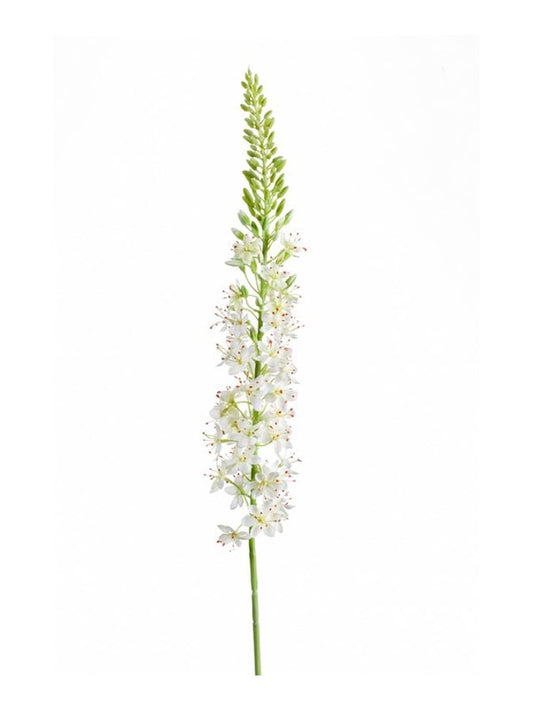 Textil Eremurus  (105 cm)