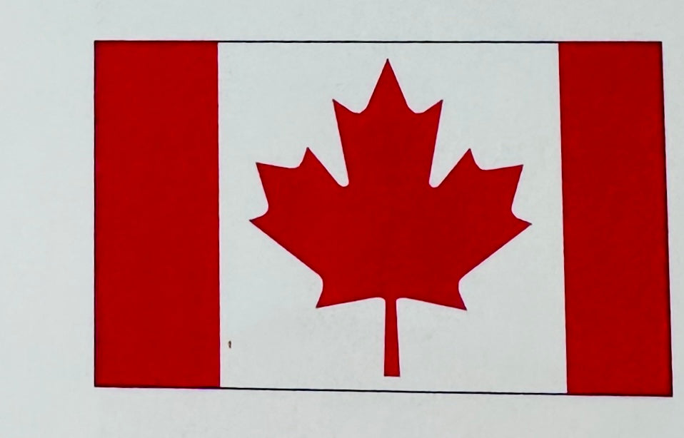 Fahnenketten aus Papier á 5 m (Länder)