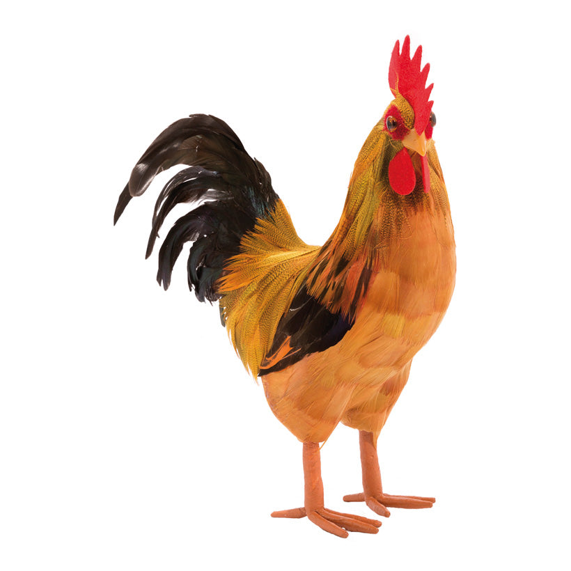 Hahn mit Federn groß