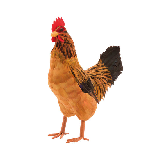 Henne mit Federn groß