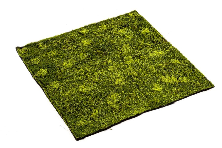 Textil "Moosmatte Hypnum"