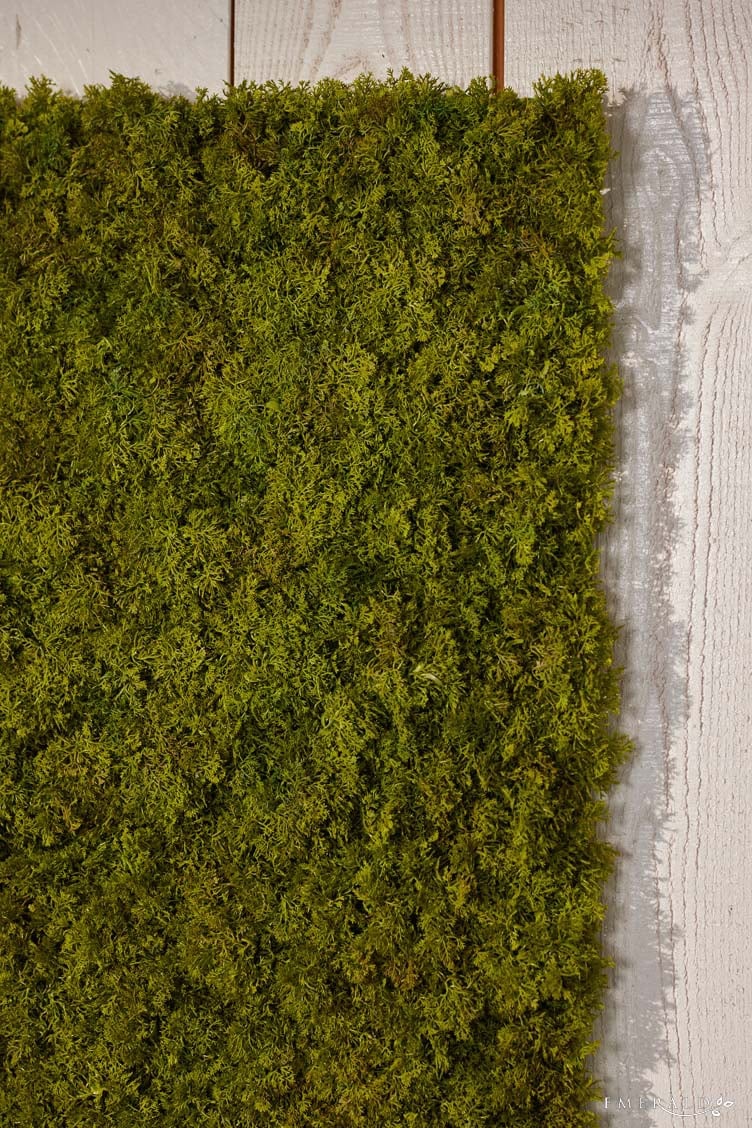 Textil Matte "Islandmoos"