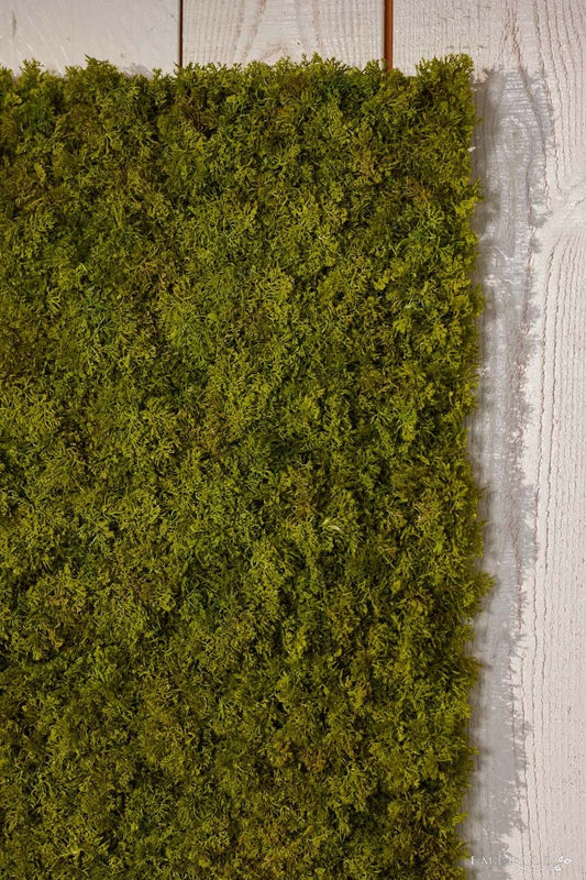 Textil Matte "Islandmoos"