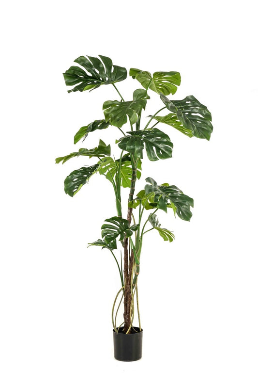 Textil Monstera (180 / 210 cm)
