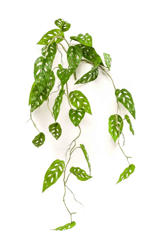 Textil Monstera "Monkey" Busch