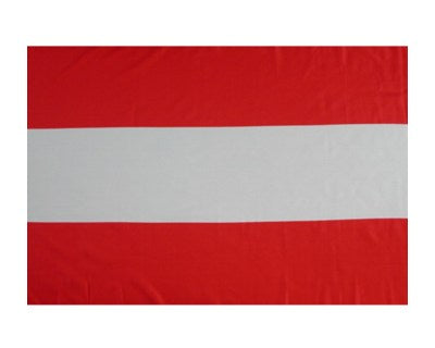 Papier-Fähnchen an 40cm Polystyrolstab (Länder)