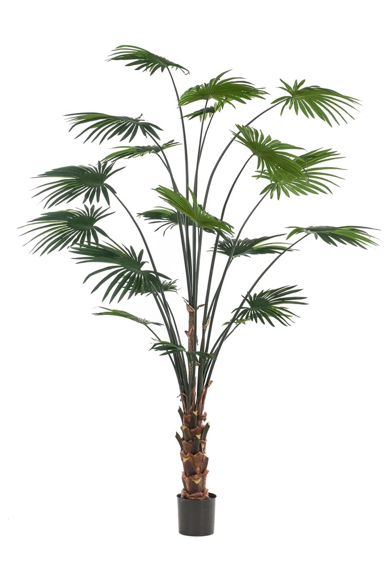 Textil Palme Livistona mit 20 Blättern