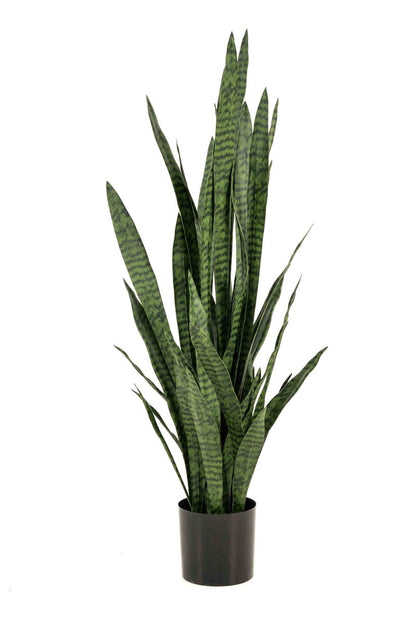 Textil Sansevieria (70 / 97 / 115 / 140 cm)