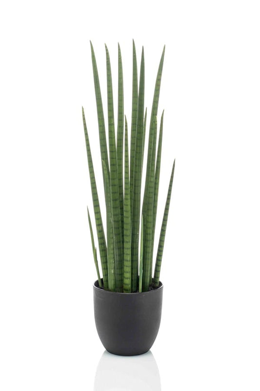 Textil Sansevieria (70 / 97 / 115 / 140 cm)