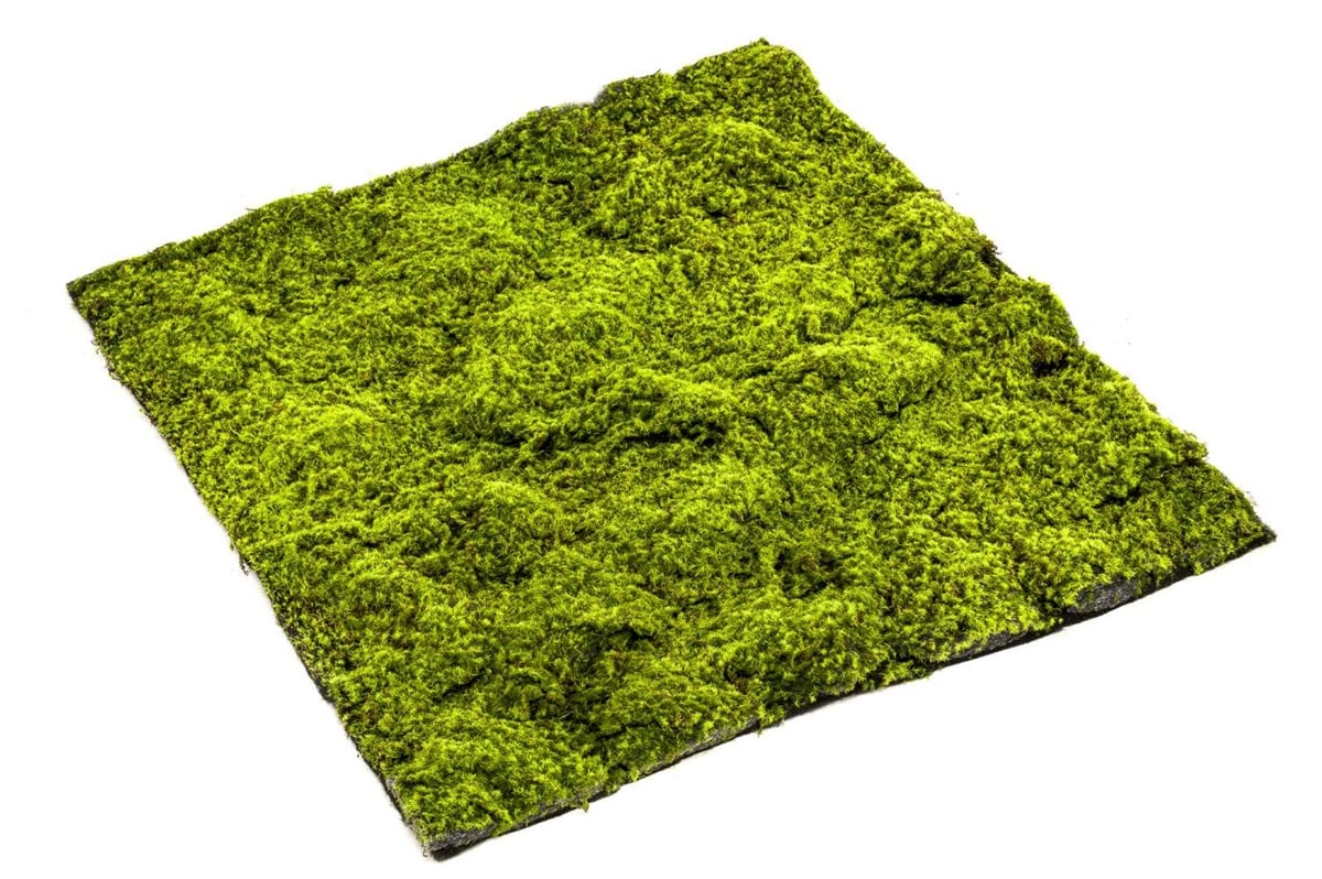 Textil "Moosmatte Sphagnum"