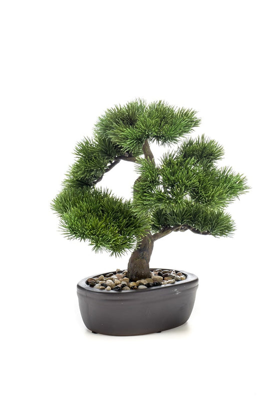 Textil Bonsai "Pinus"
