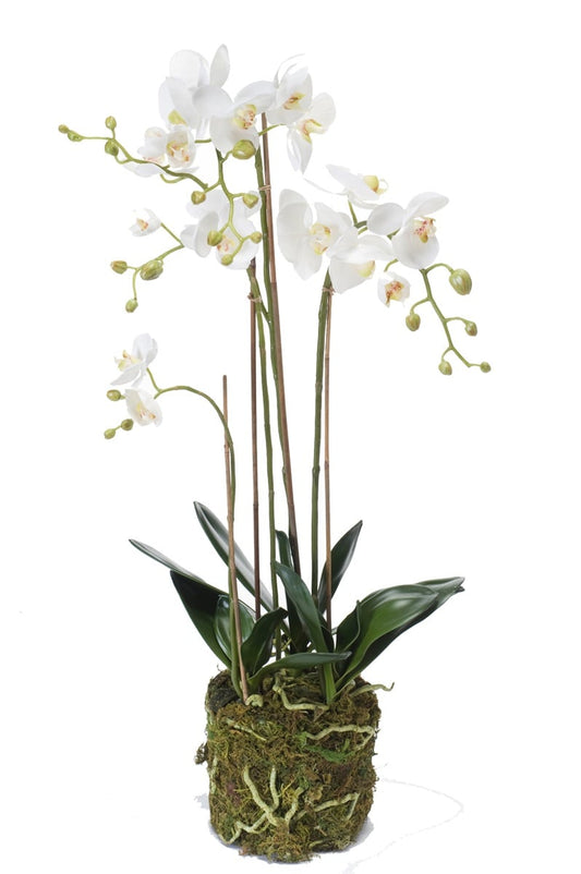 Textil Orchidee "Phalaenopsis" mit Moos