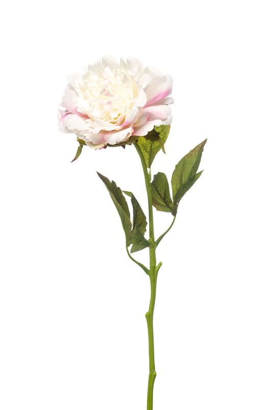 Textil Pfingstrose Blüte