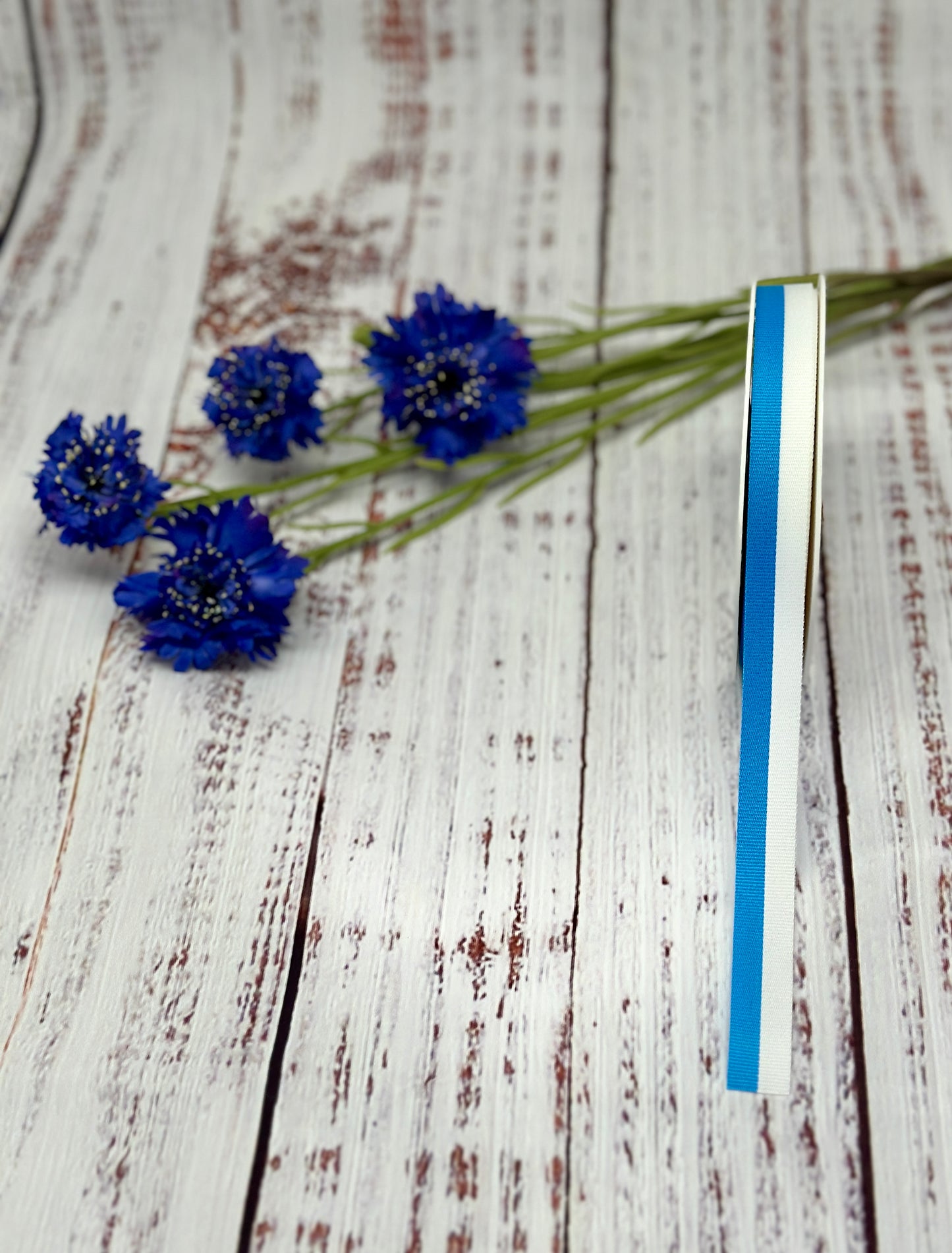 Festband weiß/blau á 25 m